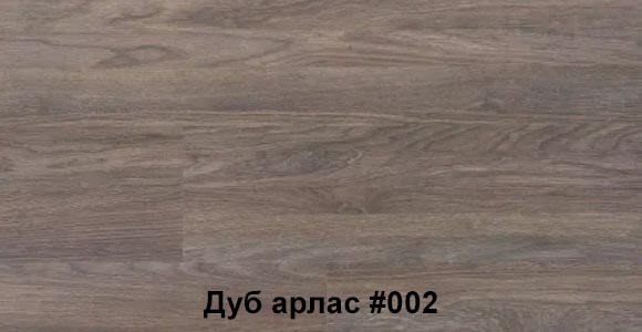Дуб арлас0002